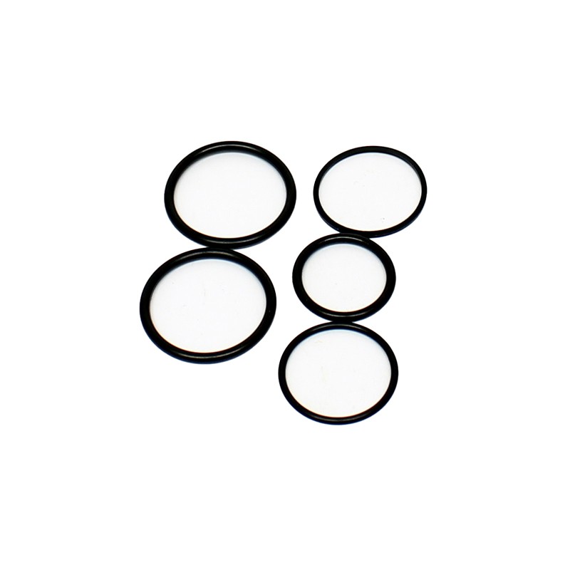 Seal set for ARV valve 25/222498
