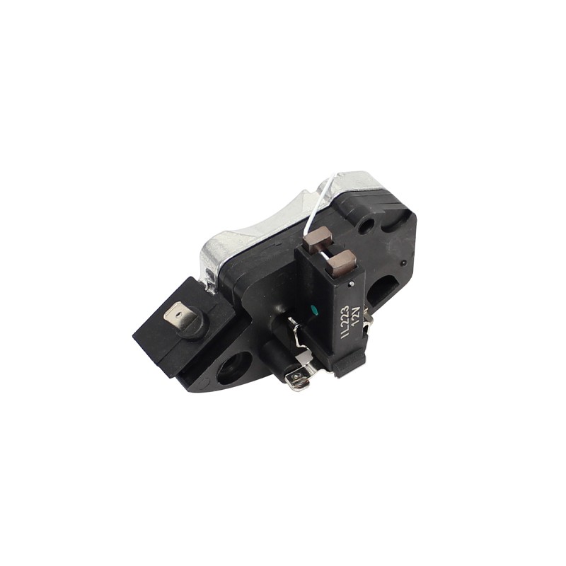 Alternator regulator and brush holder