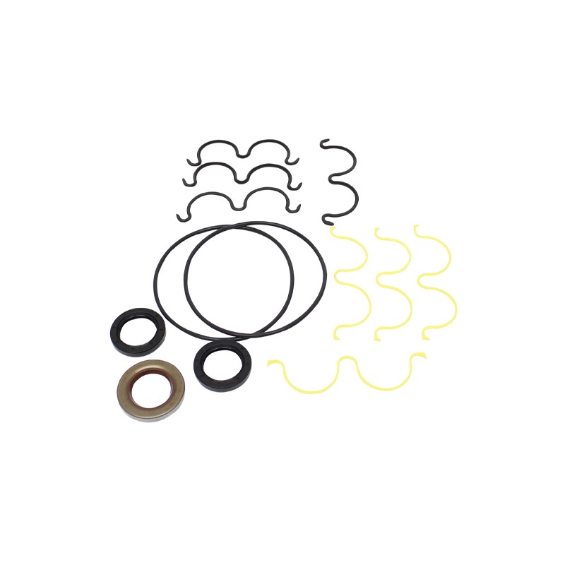 Hydraulic pump seal kit 919/71400