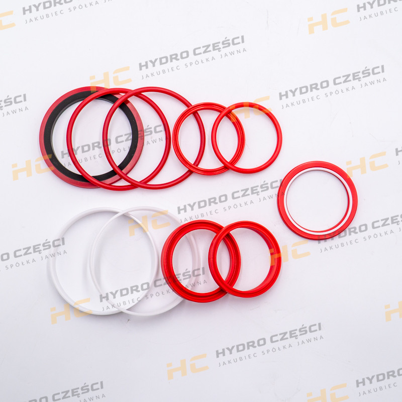 JCB Set kit seal 60x100 DELLAR (OEM Quality)