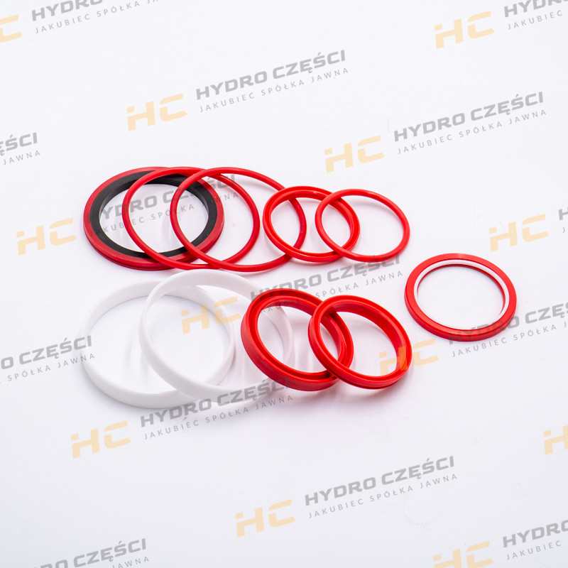 JCB Set kit seal 60x100 DELLAR (OEM Quality)