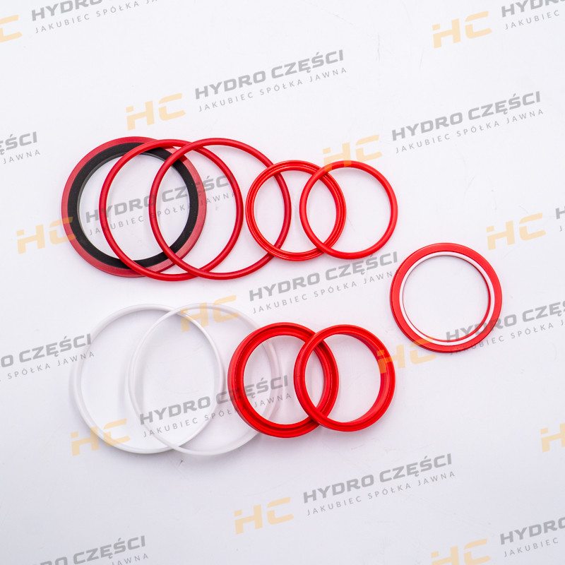 JCB Set kit seal 60x100 DELLAR (OEM Quality)