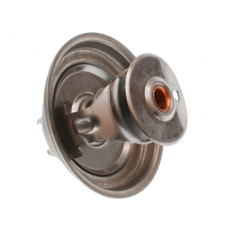 ТЕРМОСТАТ CAT