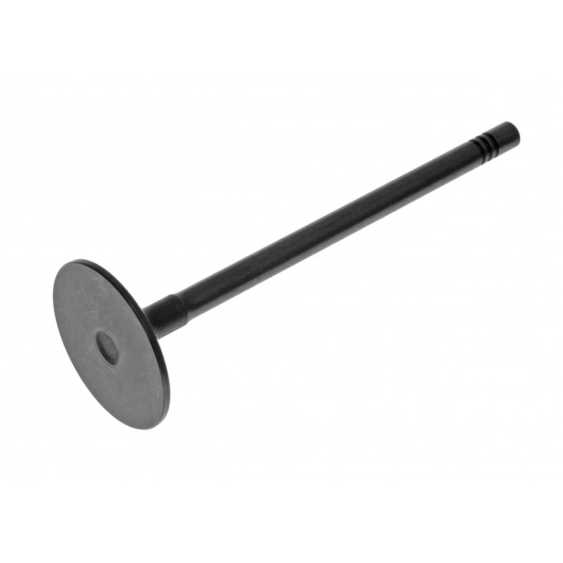 Впускной клапан Cat