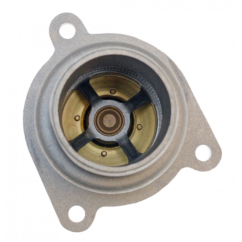 ТЕРМОСТАТ С КОРПУСОМ OEM