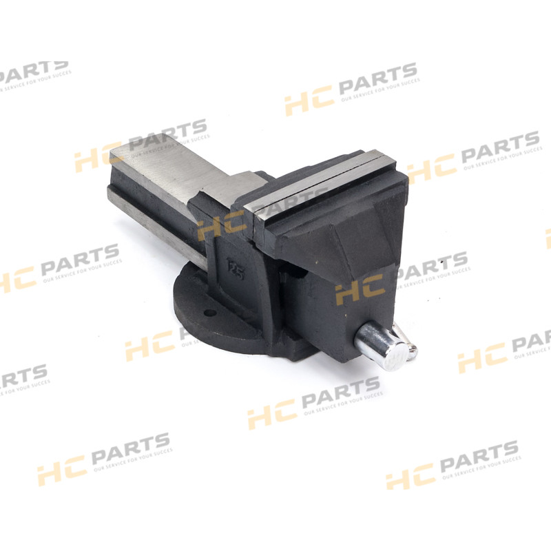 Locksmith vise made of ductile cast iron, fixed 125 mm