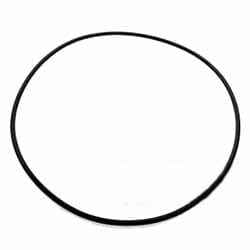 0501317972 Пружина Сцепления