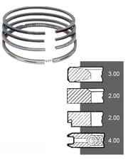 7701201833 кольца NPR STD