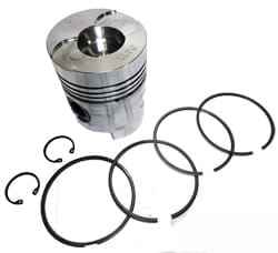 0.041.0060.6 поршень STD с кольцами