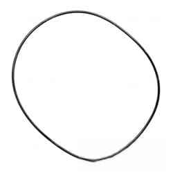 L113950 Oring