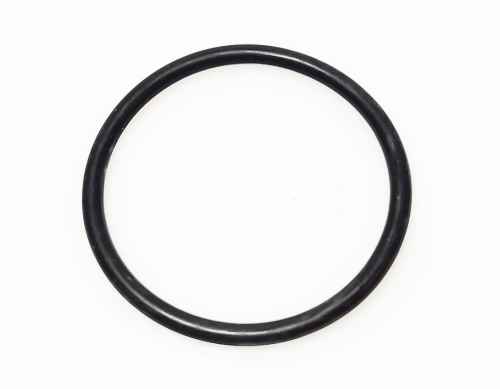 F119200090180 Oring