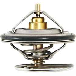 F824200050060 Термостат