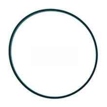 4966231 Oring