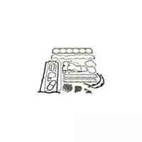 RE30206 комплект прокладок двигателя