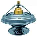 F824200050060 Термостат