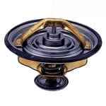 G199204010020 Термостат