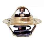 2485666 термостат