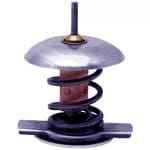 04204796 термостат