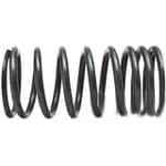 4222955m1 пружина клапана