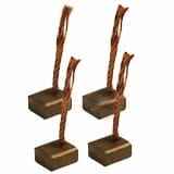 6293320 набор щеток стартера