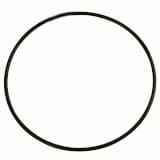 6000104508 Oring