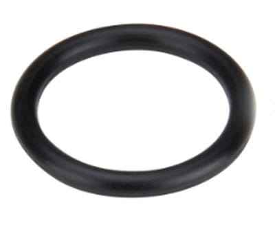 028172 Oring