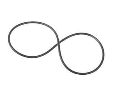 028624 Oring