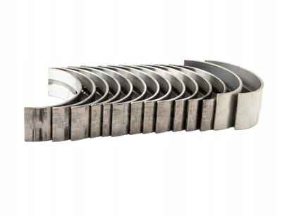 U5mb0007b основная вертлужная впадина