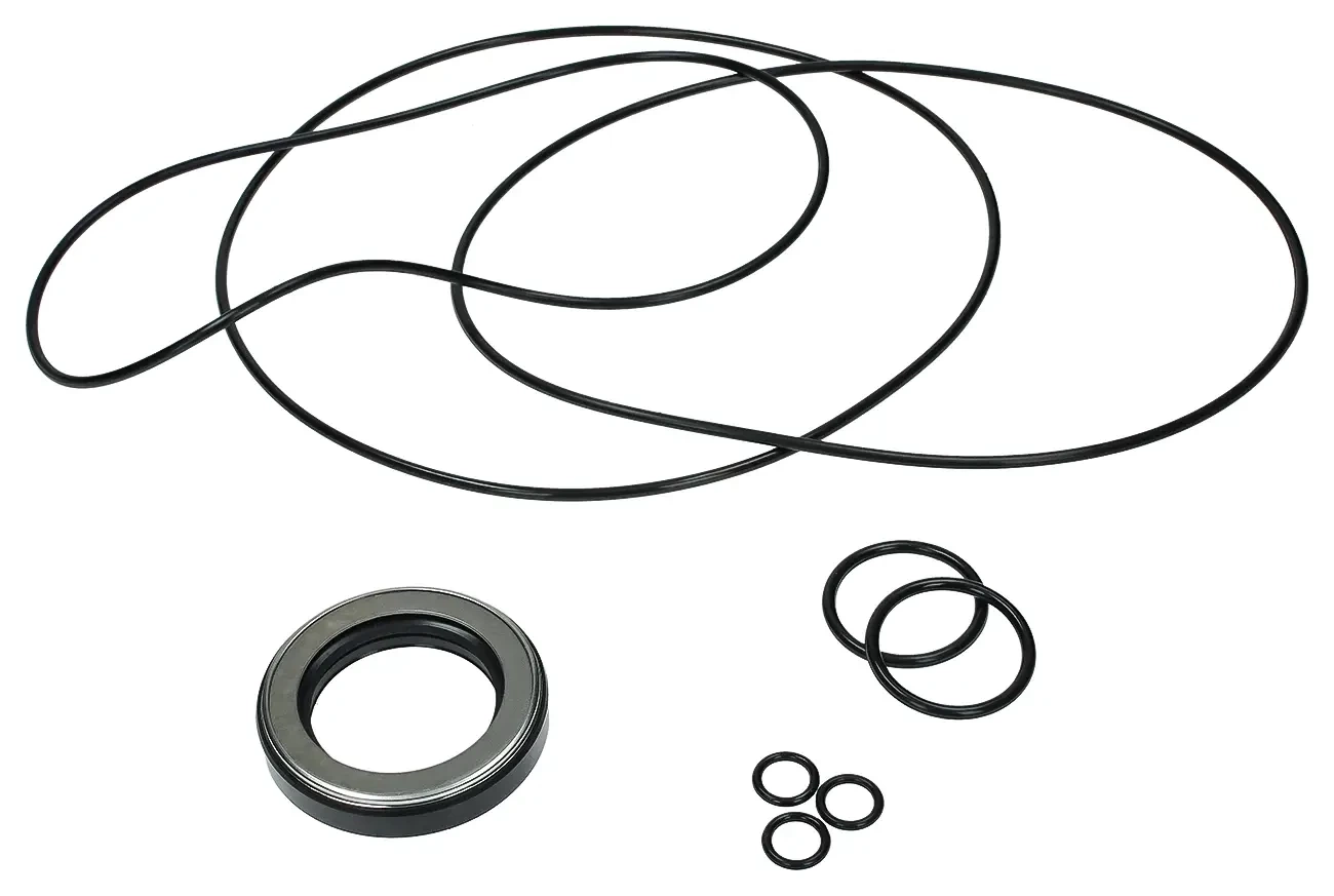 Комплект уплотнений двигателя вращения DOOSAN DX255 LC