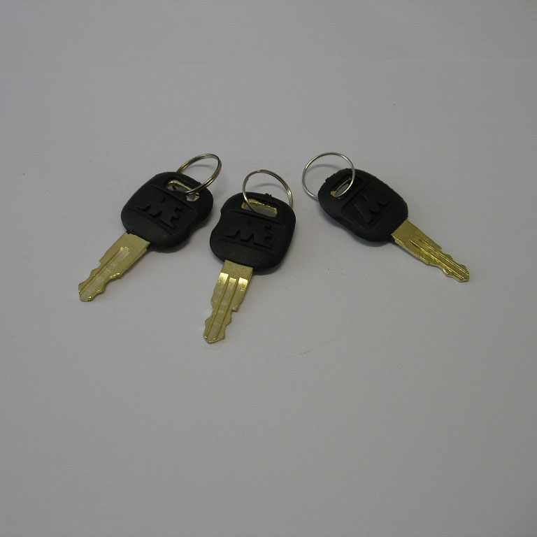 Ключ зажигания Cat