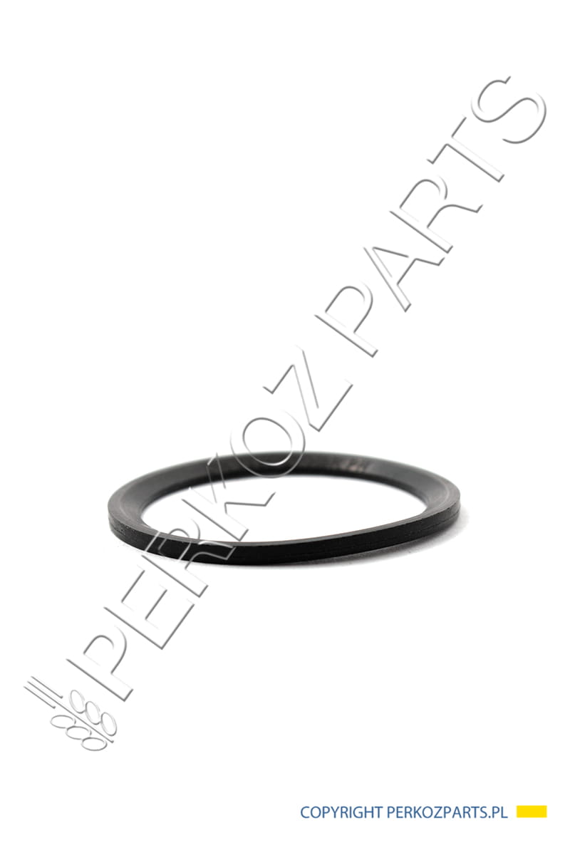 O-RING NEW HOLLAND CASE CNH 82019813