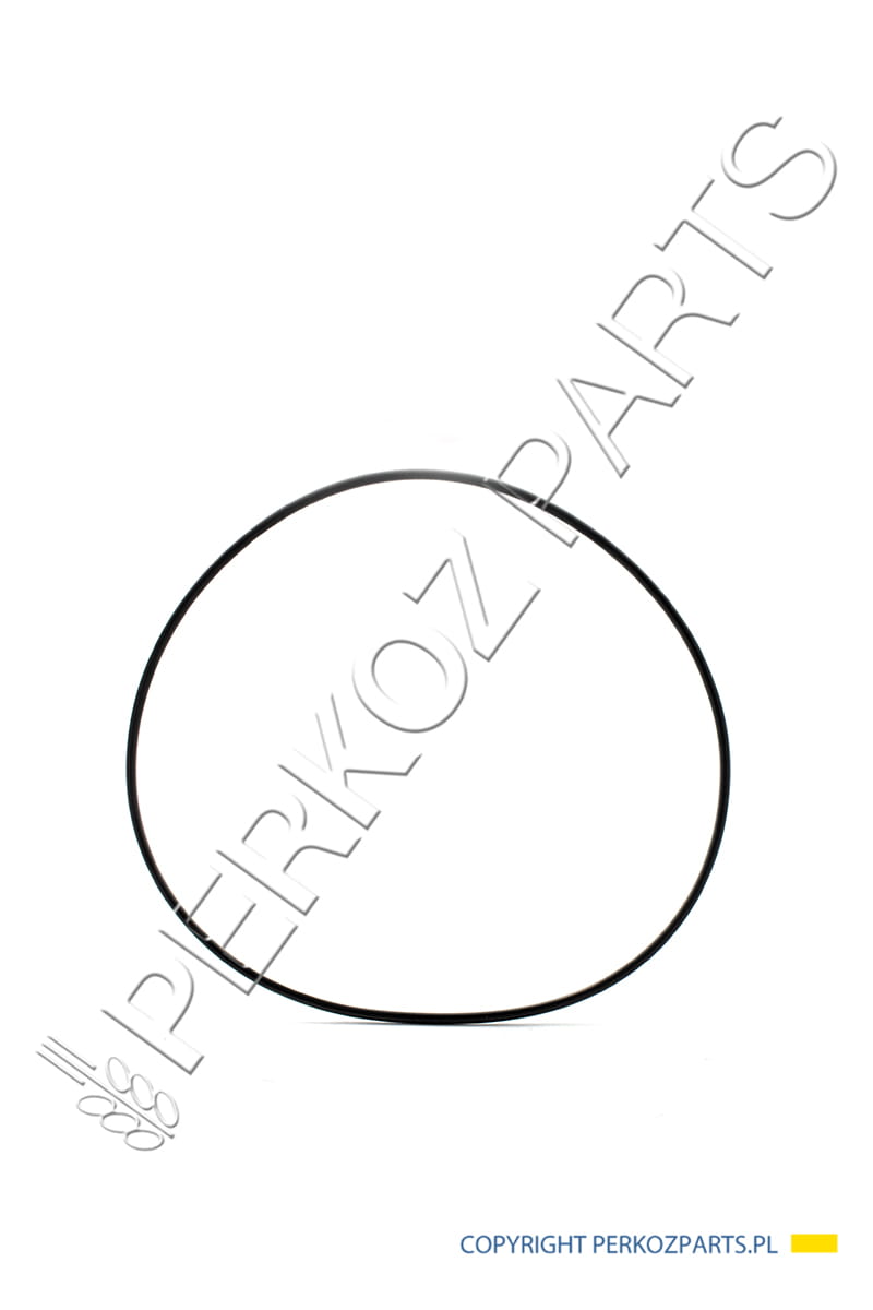 ORING NEW HOLLAND CASE CNH 84817130 - 84100178