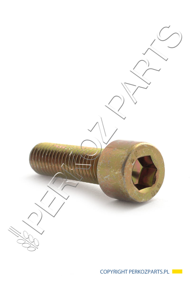 ŚRUBA M10X35-8,8 80300443 NEW HOLLAND / CASE 81869630