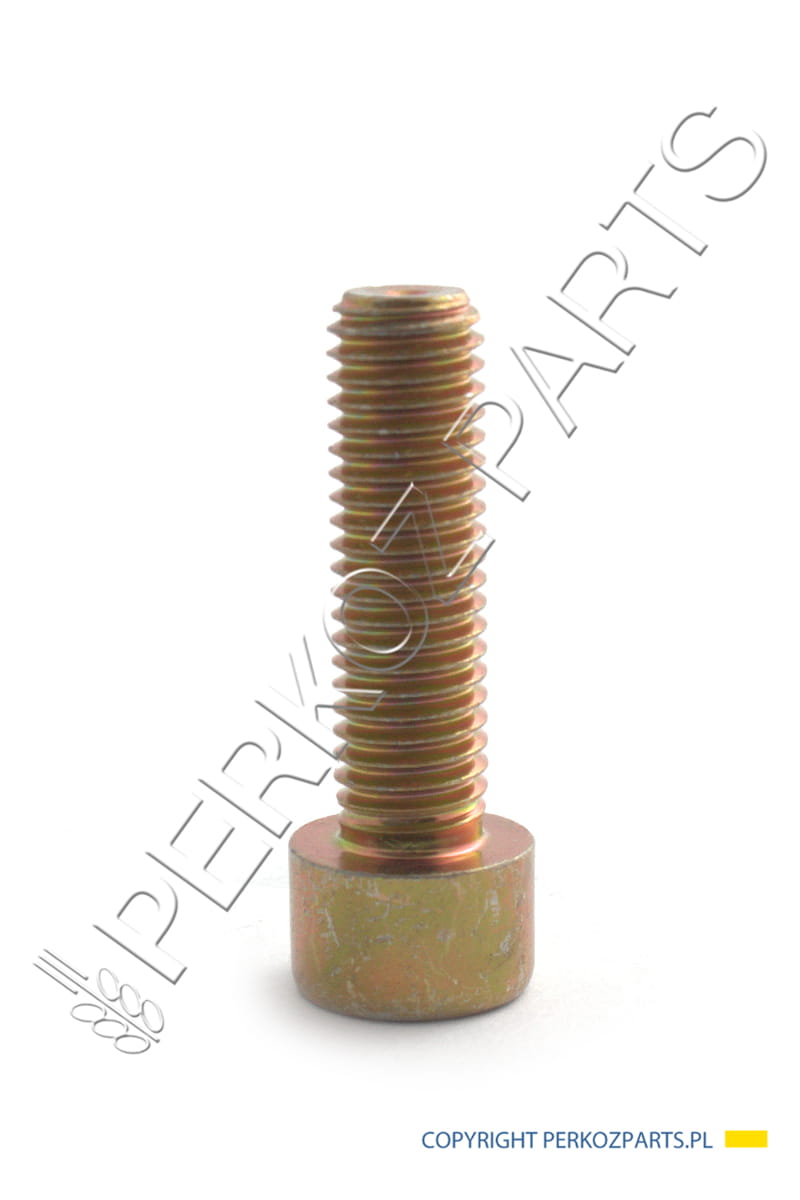 ŚRUBA M10X35-8,8 80300443 NEW HOLLAND / CASE 81869630
