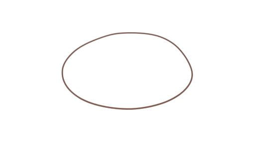 O-ring New Holland CNH 14462681
