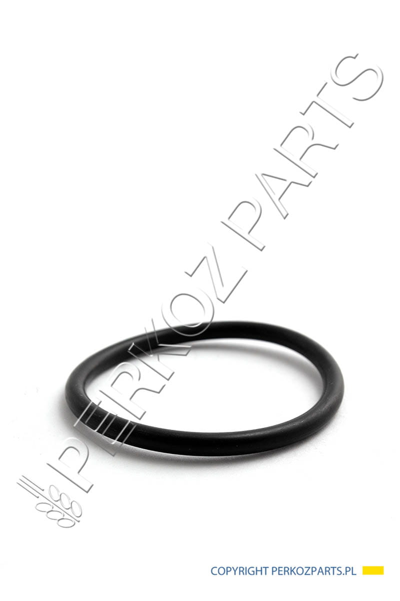 ORING NEW HOLLAND CASE CNH 181144A1 28623