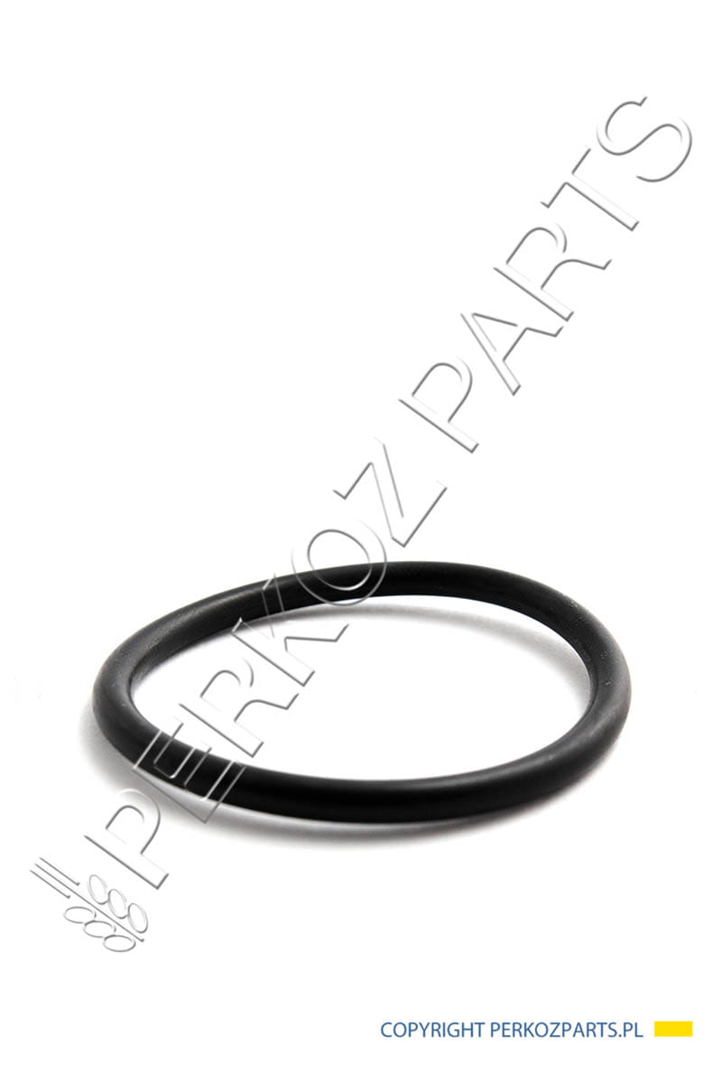 ORING NEW HOLLAND CASE CNH 181144A1 28623