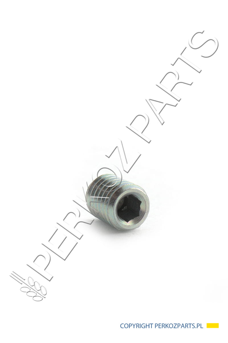 Śruba New Holland CNH 5166873 M8 x 10mm
