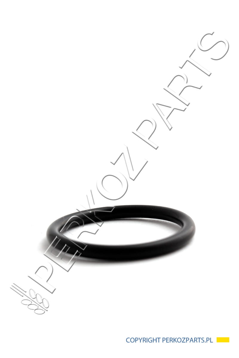 O-RING NEW HOLLAND CASE CNH 14463580