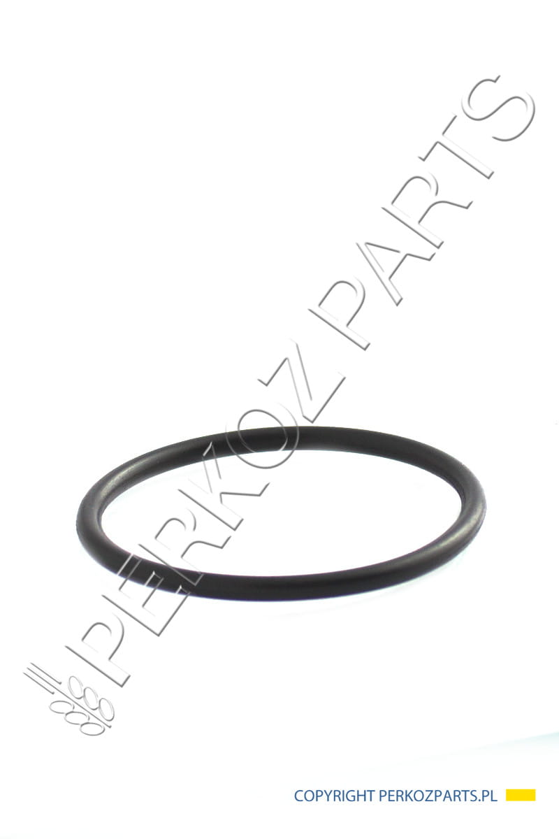 Oring New Holland CNH 70925190