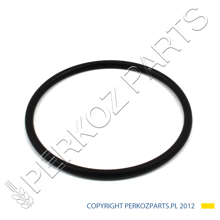 ORING NEW HOLLAND CASE STEYR 217405